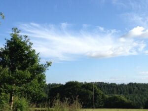 IMG_0927