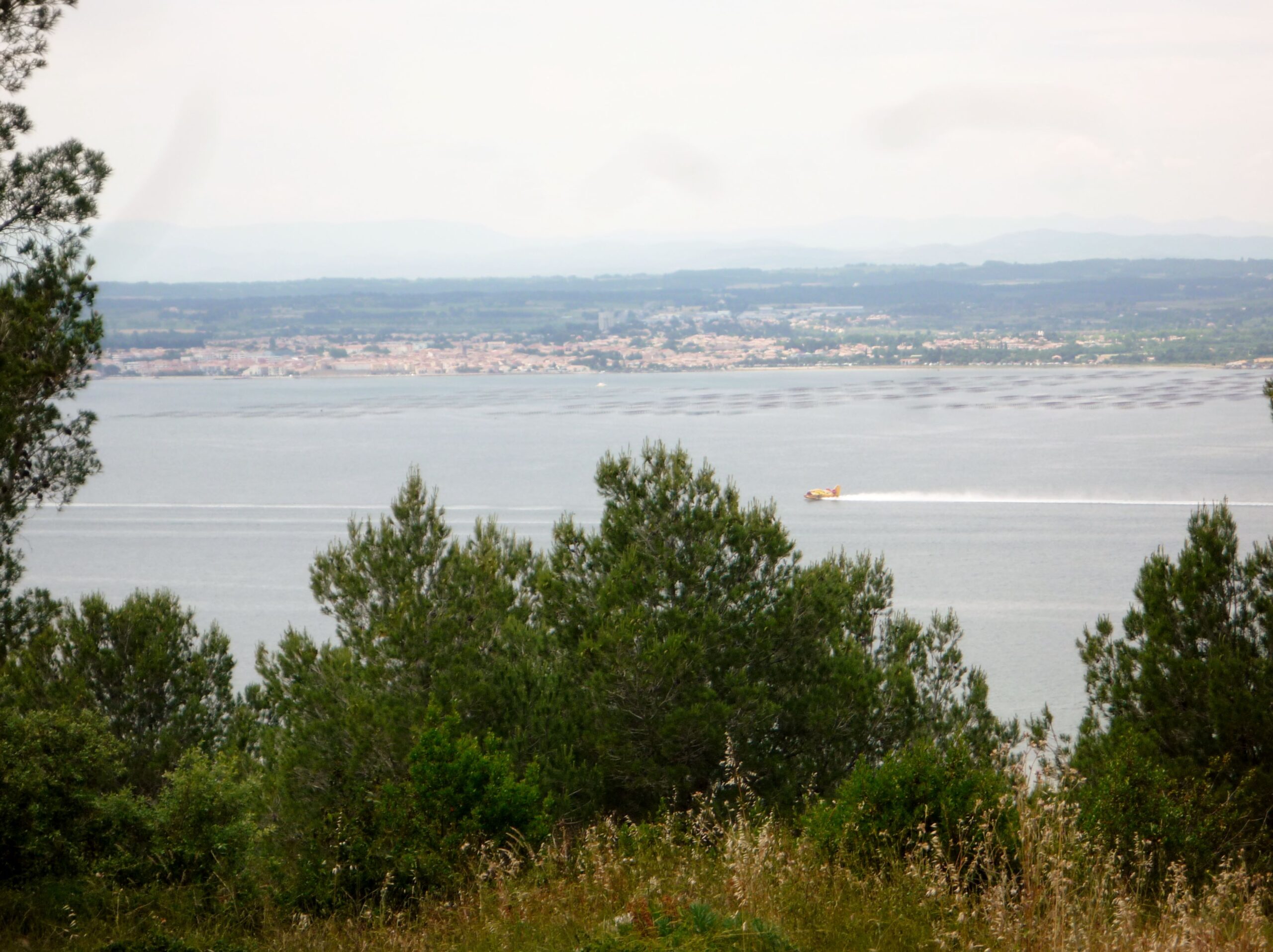 P1040736