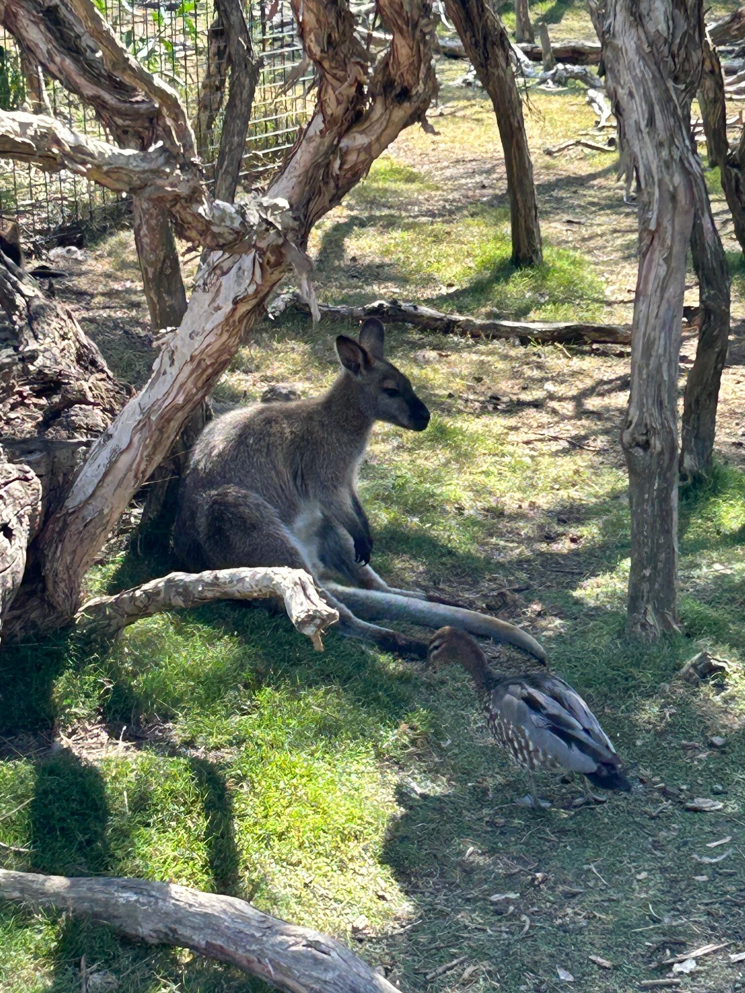TRIP DOWN UNDER: 5 MOONLIT SANCTUARY