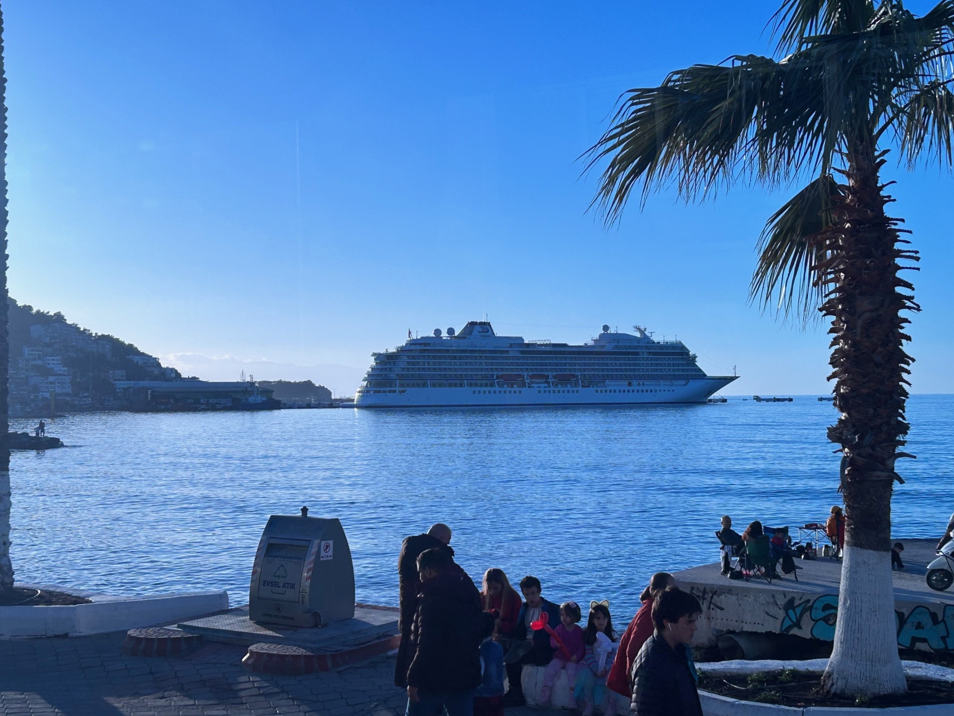 Another Viking Cruise !